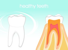 Dental backgrounds vector 02