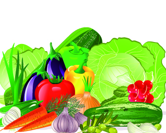 Fresh vegetables vector set 01