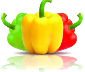 Fresh vegetables vector set 03