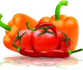 Fresh vegetables vector set 04