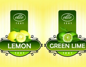 Different Fruit stickers vector set 01