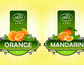 Different Fruit stickers vector set 02