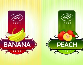 Different Fruit stickers vector set 03