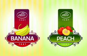 Different Fruit stickers vector set 03