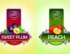 Different Fruit stickers vector set 04