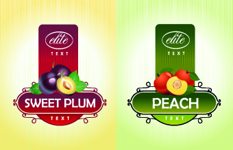 Different Fruit stickers vector set 04