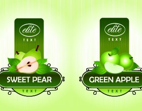 Different Fruit stickers vector set 05