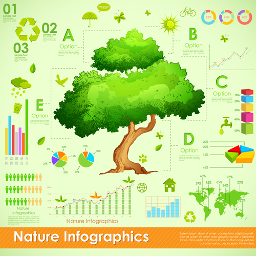 Nature Style Infographics design vector 01