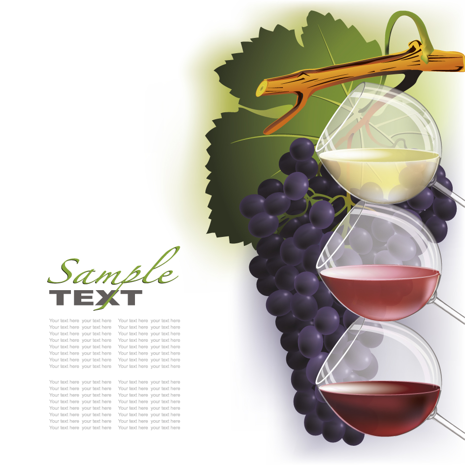 Wine design elements vector 02