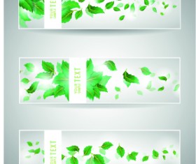 Classic banner design vector 05