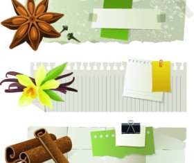 Special banners design elements vector 01