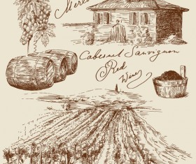 Wine barrels vector 03