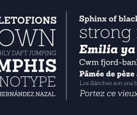 Exquisite font set