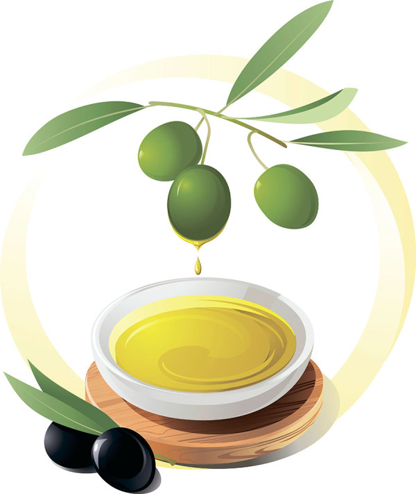 Olives and Olive oil vector 01