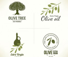 Creative olive logos vector