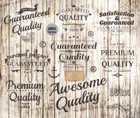 Retro label on the wood wall vector 02