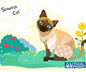 Siamese cat vector