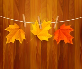 Beautiful Autumn leaves background vector 01