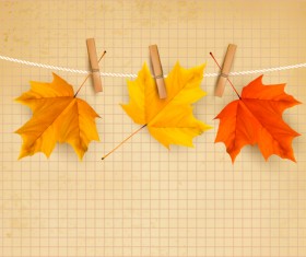 Beautiful Autumn leaves background vector 02