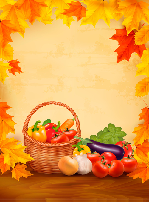 Beautiful Autumn leaves background vector 03