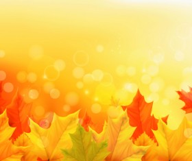 Beautiful Autumn leaves background vector 05