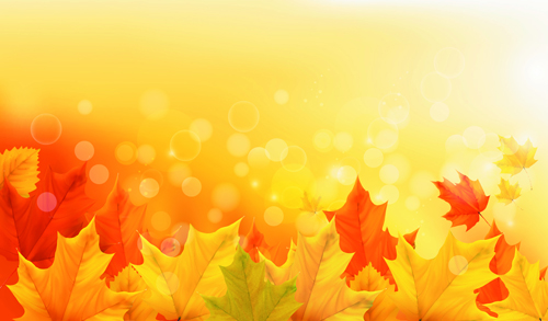 Beautiful Autumn leaves background vector 05