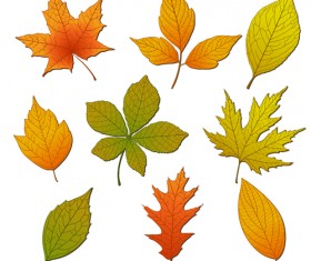 Bright autumn leaves vector backgrounds 01