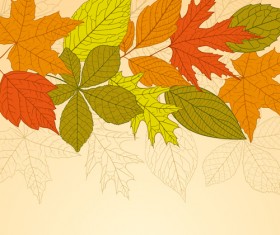 Bright autumn leaves vector backgrounds 05
