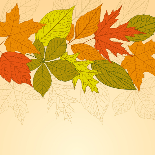 Bright autumn leaves vector backgrounds 05