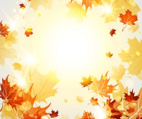 Bright autumn leaves vector backgrounds 06
