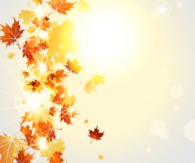 Bright autumn leaves vector backgrounds 07