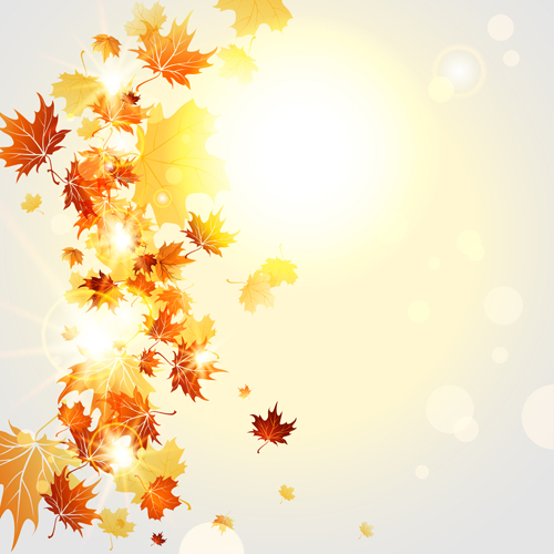Bright autumn leaves vector backgrounds 07