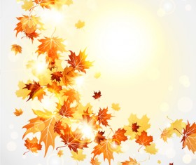 Bright autumn leaves vector backgrounds 08