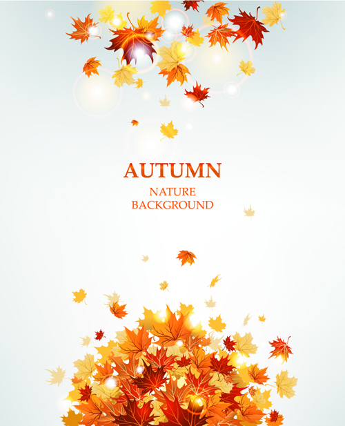 Bright autumn leaves vector backgrounds 10