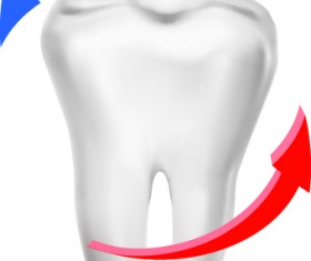 Amusing Dental design elements vector 03