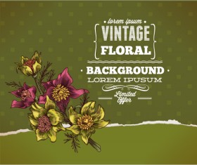 Elegant Vintage background set 14