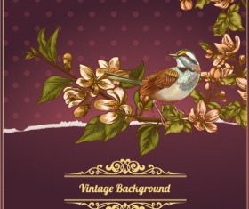 Elegant Vintage background set 23