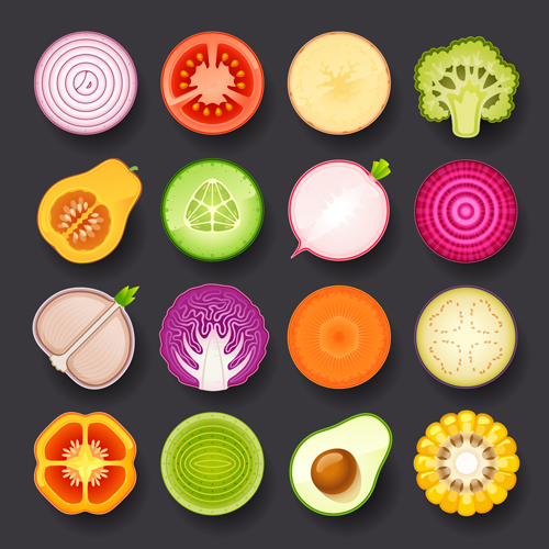 Vivid Food Icons vector 02