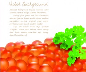 Food creative vector background 04