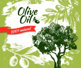Vintage Olive oil background vector 03