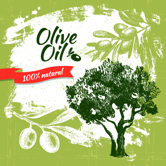 Vintage Olive oil background vector 03