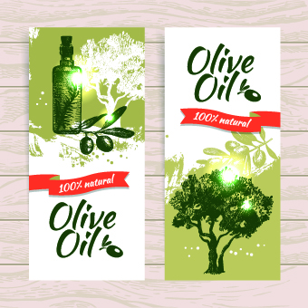 Vintage Olive oil background vector 05