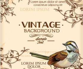 Huge collection of Vintage background vector 05