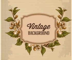 Huge collection of Vintage background vector 07