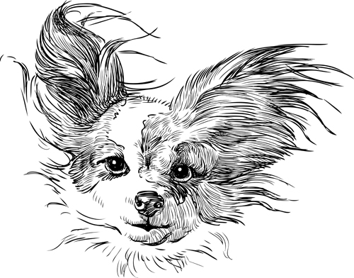 Sketch dog design vector 01