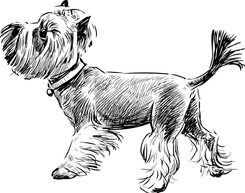 Sketch dog design vector 02