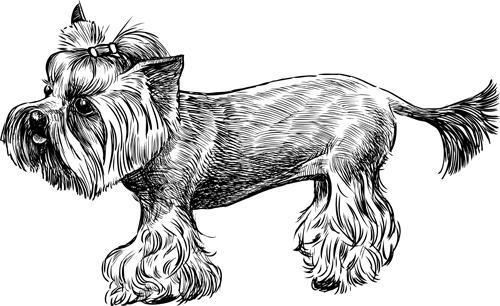 Sketch dog design vector 04