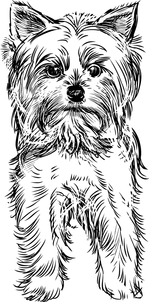 Sketch dog design vector 05