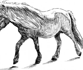 Draw horses vector 01