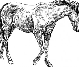 Draw horses vector 04